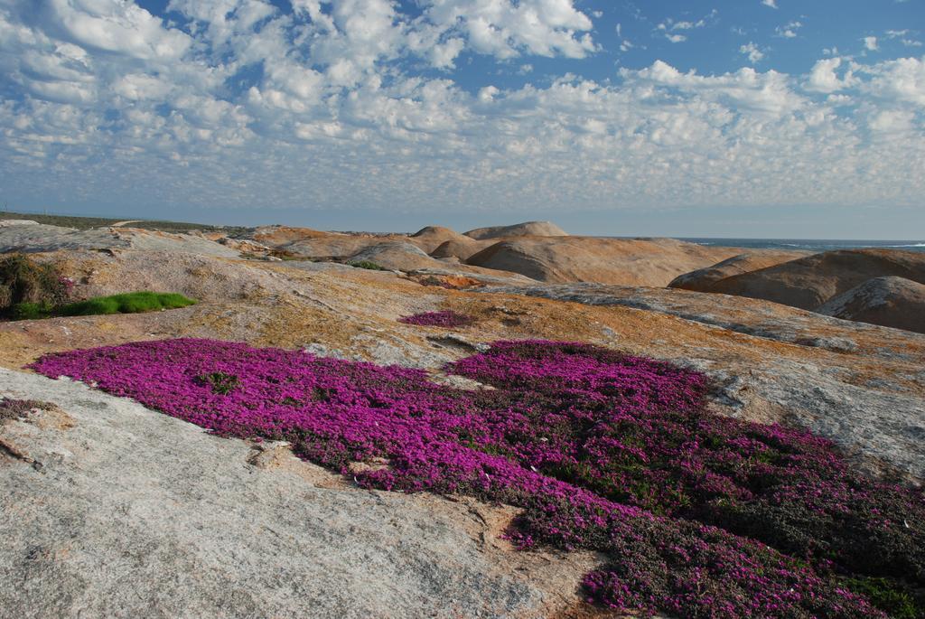 The Oystercatchers Haven At Paternoster Esterno foto